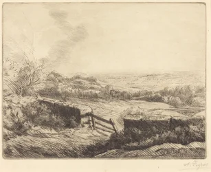 The Gate (La entrada al campo)