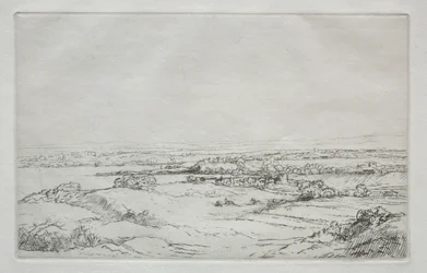 El prado cerca del lago
