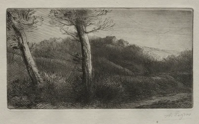 El Viajero Tumbado en la Hierba, c. 1888