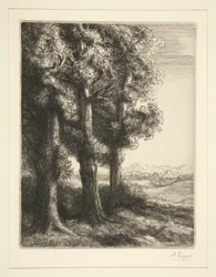 Tres árboles