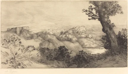 La cima de la colina