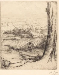 Vista de los juncos