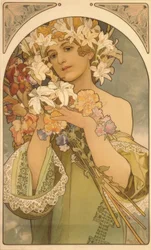 Flores