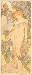 El iris
