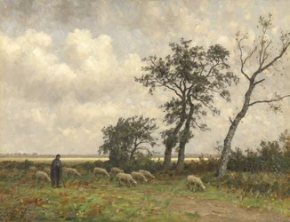 Paisaje en Drenthe