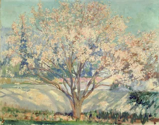 Almendro en flor (óleo sobre lienzo)