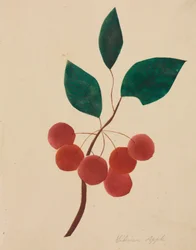 Manzana siberiana (acuarela)