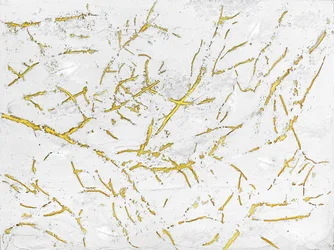 Textura dorada orgánica