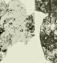 Formas orgánicas con textura