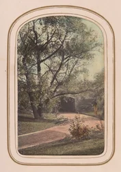 Álbum de carte-de-visite de vistas de Central Park, 1860s