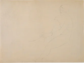Desnudo
