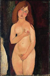 Venus o Desnudo de pie o Desnudo Medici; Venus