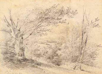 Colina de Bromley