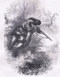 Tirador americano en un árbol, ilustración de la Historia de los Estados Unidos de Cassell publicada por Cassell, Petter & Galpin, c.1900