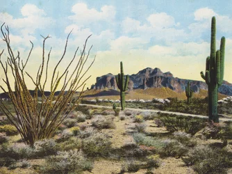 Superstition Mountain and Desert, "Apache Trail" (foto en color)