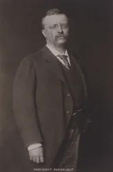 Theodore Roosevelt, 26º Presidente de los Estados Unidos, 1904