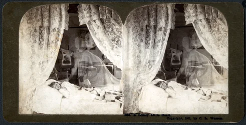 Un pequeño corazón solitario, 1901