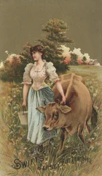 Anuncio de Swifts Jersey Butterine, c.1880