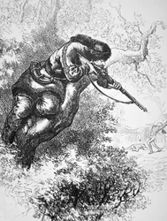 Tirador americano en un árbol, durante la Guerra Revolucionaria Americana