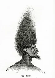 Hombre Api, ilustración de Appletons Journal, 4 de mayo de 1872