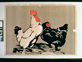 Gallo y gallina