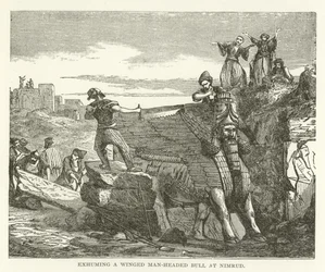 Exhumando un toro alado con cabeza humana en Nimrud