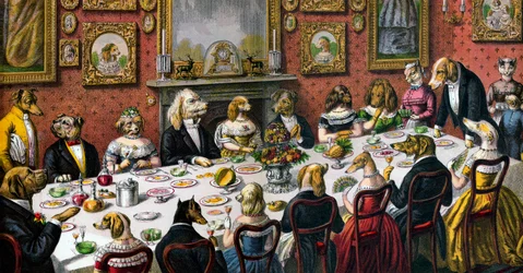 Cena formal para perros