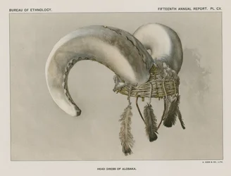 Tocado de Aloska