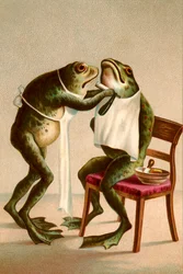 Ilustración humorística de una rana afeitándose