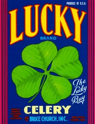Etiqueta de caja de frutas Lucky Brand Celery, c.1920
