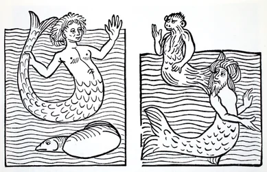 Sirenas y Tritones, de La Guía Mundial de Gnomos, Hadas, Elfos y Otros Seres Pequeños por Thomas Keightley (1789-1872) Publicado 1880, (grabado en blanco y negro)