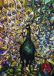 Pavo real