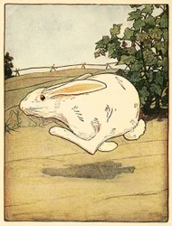 Pedro nunca dejó de correr, de El cuento de Peter Rabbit, pub. 1916 litografía en color, 1916