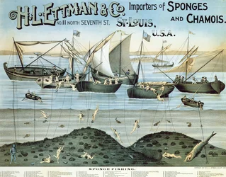 Póster publicitario de H.L. Ettman & Co., importadores de esponjas y gamuzas, 1897