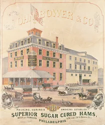 Póster publicitario de John Bower & Co. Superior Sugar Cured Hams