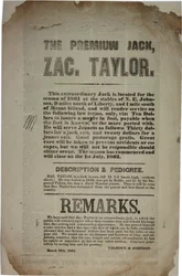 Procedimientos y discurso de la Convención Constitucional, c.19 de marzo de 1861