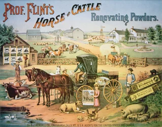 Polvos renovadores para caballos y ganado del Profesor Flint, c.1900