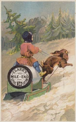 Conejo tirando de trineo en la nieve