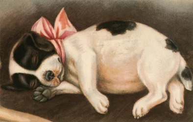 Cachorro de Pointer dormido con un lazo rosa