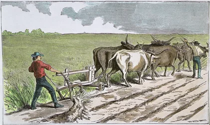 Sodbusters del Oeste Americano, c.1880