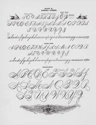 Letras estándar; Mano de dama; Mayúsculas de brazo completo