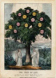 El Árbol de la Vida
