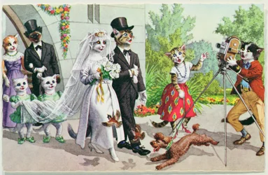 The Wedding, postal estadounidense de principios del siglo XX