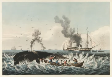 La pesca de ballenas - Atacando una ballena 