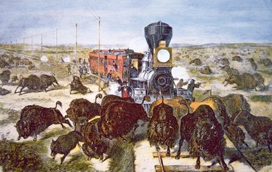 Pasajeros del tren en el Ferrocarril Pacífico de Kansas, disparando búfalos por deporte en la década de 1870