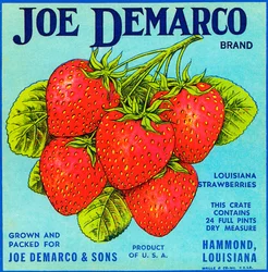 Etiqueta de caja de fruta de fresas vintage