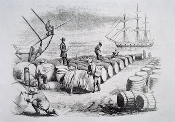 Balleneros midiendo aceite en barriles, de La Pesca de Ballenas Americana, c.1850