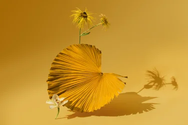 Ikebana 05, 2018 (fotografía)