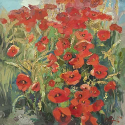 Campo de amapolas en verano