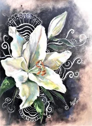 Elegante flor de lirio blanco